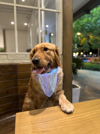 Glowing Bandana & Tote Bag