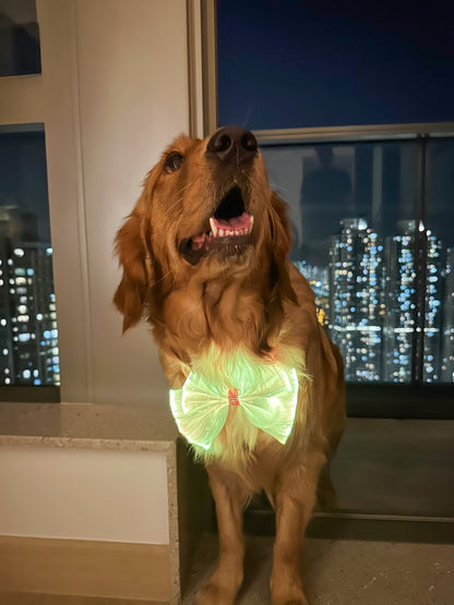 Glowing Bowtie