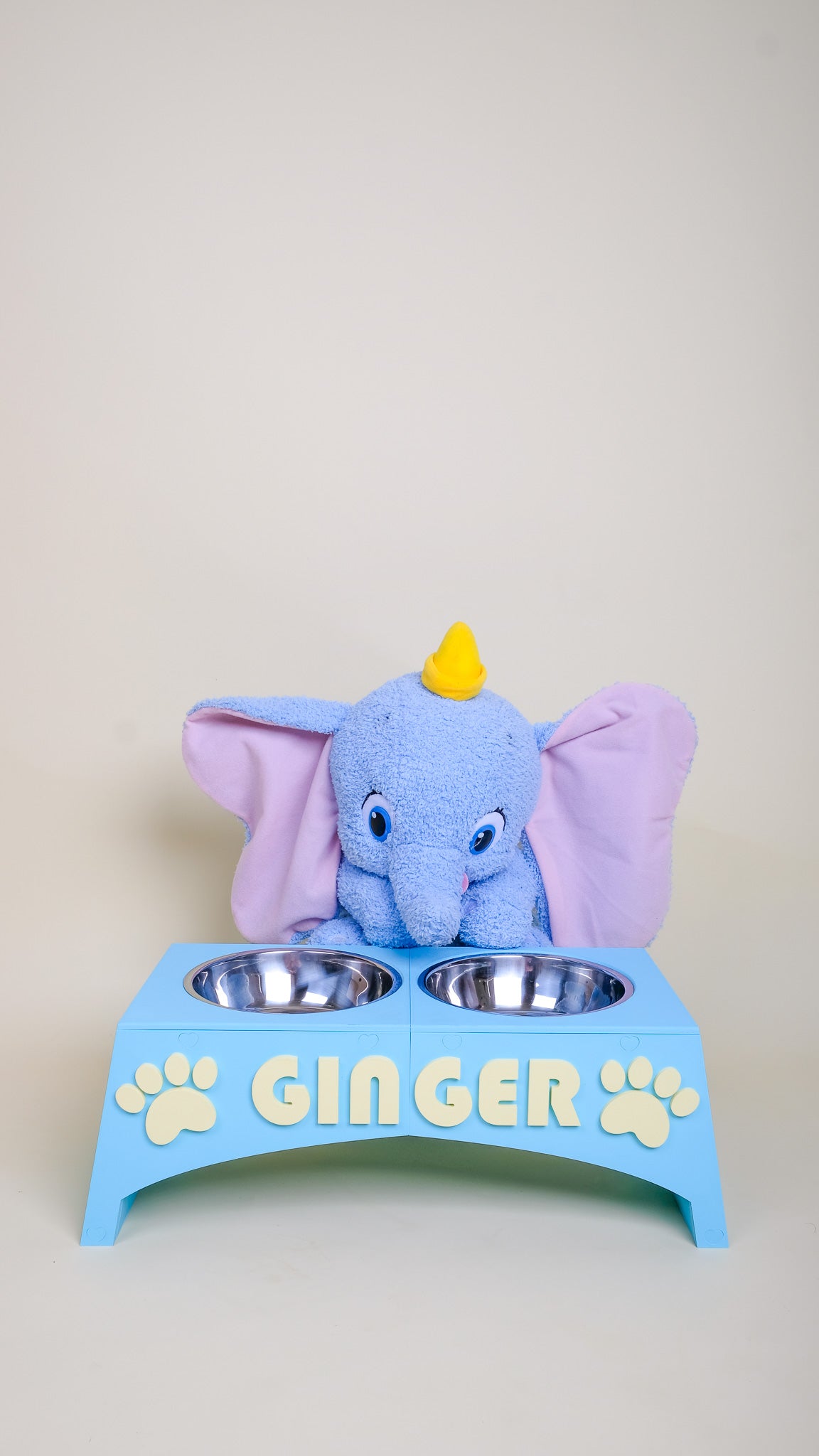 Personalised 3D Printed Pet Bowl Stand