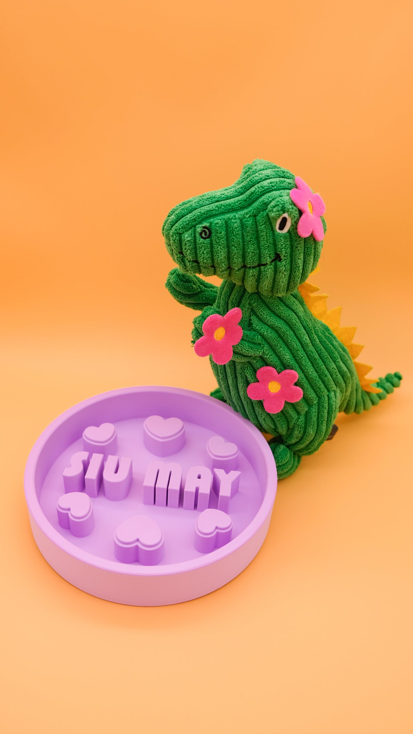 Personalised 3D Printed Pet Bowl